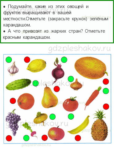 Рабочая тетрадь – Часть 2 (стр. 36) – Почему нужно есть много овощей и фруктов? – 1 - 0
