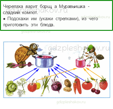 Рабочая тетрадь – Часть 2 (стр. 36) – Почему нужно есть много овощей и фруктов? – 2 - 0
