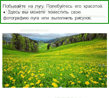Рабочая тетрадь – Часть 2 (стр. 33) – Почему мы не будем рвать цветы и ловить бабочек? – 5 - 0