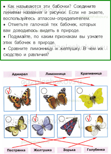 Рабочая тетрадь – Часть 2 (стр. 31) – Почему мы не будем рвать цветы и ловить бабочек? – 2 - 0