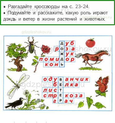 Рабочая тетрадь – Часть 2 (стр. 23) – Почему идет дождь и дует ветер? – 1 - 0