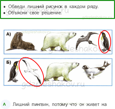 Рабочая тетрадь – Часть 2 (стр. 11) – Где живут белые медведи? – 1 - 0