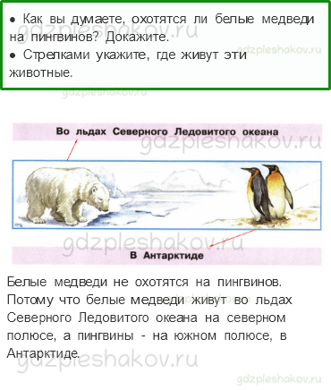Рабочая тетрадь – Часть 2 (стр. 11) – Где живут белые медведи? – 2 - 0