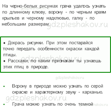 Рабочая тетрадь – Часть 1 (стр. 25) – Кто такие птицы? – 2 - 1