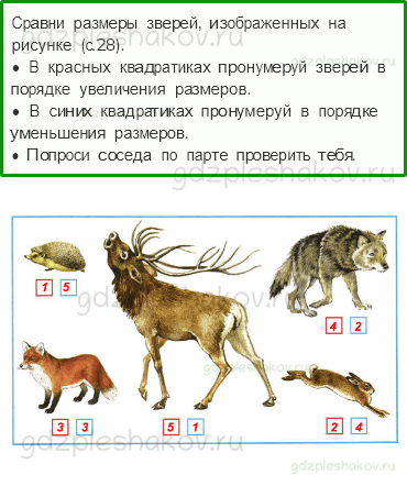 Рабочая тетрадь – Часть 1 (стр. 27) – Кто такие звери? – 3 - 0