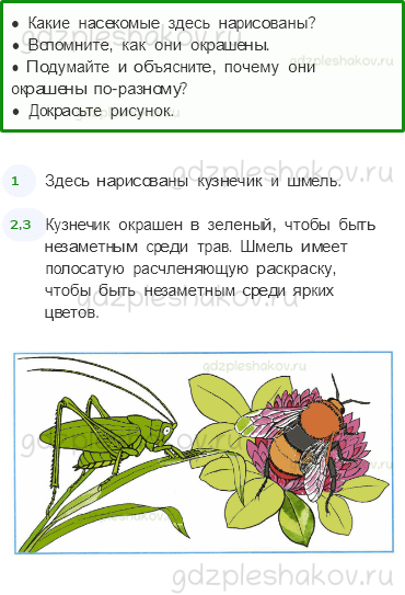 Рабочая тетрадь – Часть 1 (стр. 22) – Кто такие насекомые? – 1 - 0