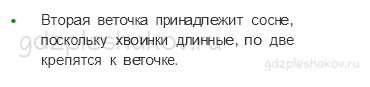 Рабочая тетрадь – Часть 1 (стр. 20) – Что такое хвоинки? – 3 - 1