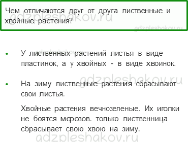 Учебник – Часть 1 (стр. 59) – Какие бывают растения – 2 - 0