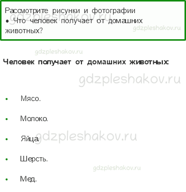 Учебник – Часть 1 (стр. 73) – Дикие и домашние животные – 2 - 0