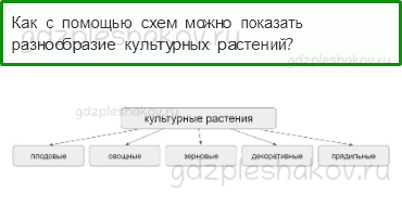 Учебник – Часть 1 (стр. 71) – Дикорастущие и культурные растения – 6 - 0