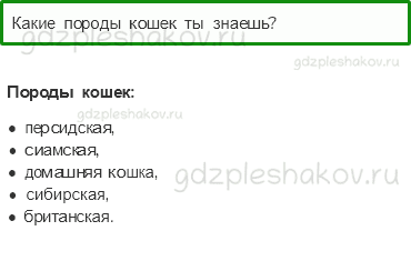 Учебник – Часть 1 (стр. 87) – Про кошек и собак – 1 - 0