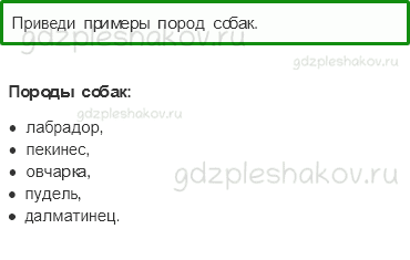Учебник – Часть 1 (стр. 87) – Про кошек и собак – 2 - 0