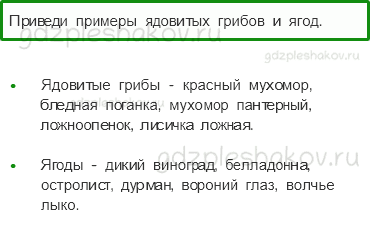Учебник – Часть 2 (стр. 29) – На воде и в лесу – 5 - 0