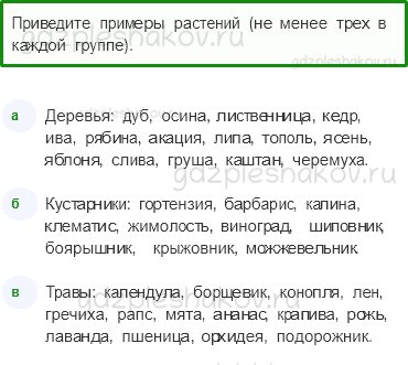 Рабочая тетрадь – Часть 1 (стр. 39) – Какие бывают растения – 3 - 0