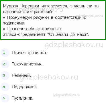 Рабочая тетрадь – Часть 1 (стр. 40) – Какие бывают растения – 5 - 0