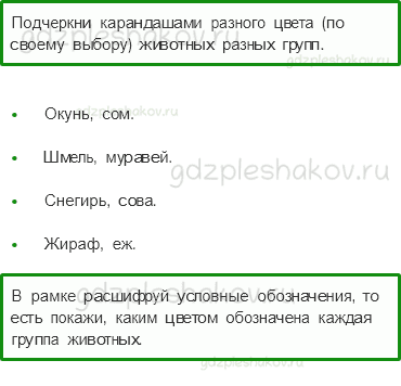 Рабочая тетрадь – Часть 1 (стр. 42) – Какие бывают животные – 1 - 0
