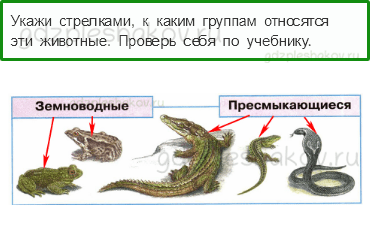 Рабочая тетрадь – Часть 1 (стр. 44) – Какие бывают животные – 7 - 0