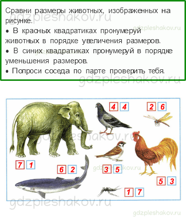 Рабочая тетрадь – Часть 1 (стр. 44) – Какие бывают животные – 6 - 0
