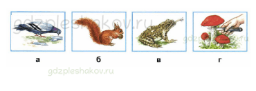Рабочая тетрадь – Часть 1 (стр. 47) – Невидимые нити – 3 - 1