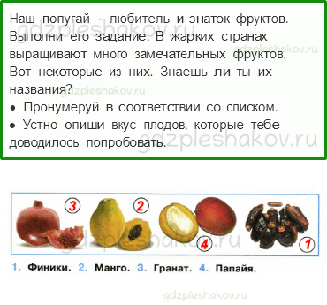 Рабочая тетрадь – Часть 1 (стр. 49) – Дикорастущие и культурные растения – 3 - 0