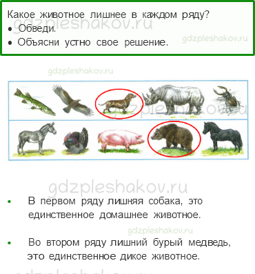 Рабочая тетрадь – Часть 1 (стр. 50) – Дикие и домашние животные – 2 - 0