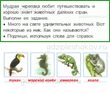 Рабочая тетрадь – Часть 1 (стр. 52) – Дикие и домашние животные – 6 - 0