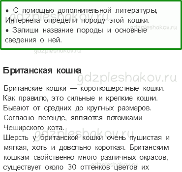 Рабочая тетрадь – Часть 1 (стр. 59) – Про кошек и собак – 5 - 0