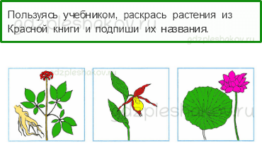 Рабочая тетрадь – Часть 1 (стр. 60) – Красная книга – 2 - 0
