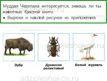 Рабочая тетрадь – Часть 1 (стр. 60) – Красная книга – 3 - 0