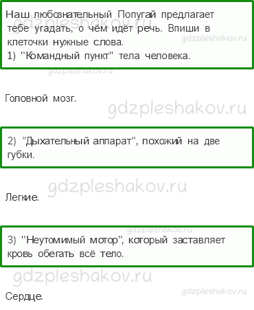 Рабочая тетрадь – Часть 2 (стр. 4) – Строение тела человека – 3 - 0