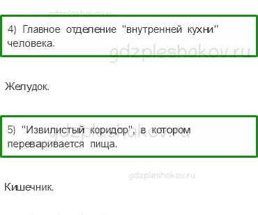 Рабочая тетрадь – Часть 2 (стр. 4) – Строение тела человека – 3 - 1