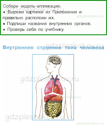 Объемные модели