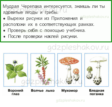 Рабочая тетрадь – Часть 2 (стр. 18) – На воде и в лесу – 3 - 0