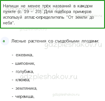 Рабочая тетрадь – Часть 2 (стр. 19) – На воде и в лесу – 5 - 0