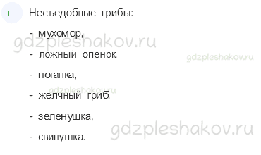 Рабочая тетрадь – Часть 2 (стр. 19) – На воде и в лесу – 5 - 3