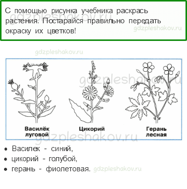 Рабочая тетрадь – Часть 2 (стр. 84) – Впереди лето – 3 - 0