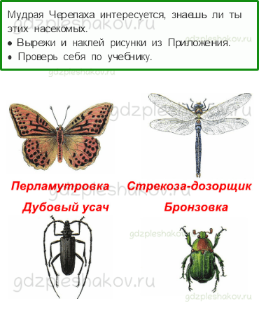 Рабочая тетрадь – Часть 2 (стр. 85) – Впереди лето – 4 - 0