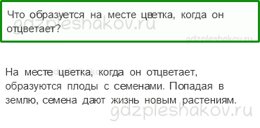 Учебник – Часть 1 (стр. 23) – Что общего у разных растений? – 4 - 0