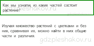 Учебник – Часть 1 (стр. 23) – Что общего у разных растений? – 2 - 0