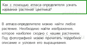 Учебник – Часть 1 (стр. 27) – Что растет на клумбе? – 3 - 0