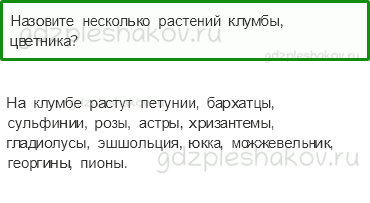 Учебник – Часть 1 (стр. 27) – Что растет на клумбе? – 2 - 0