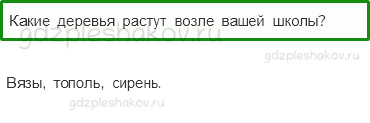 Учебник – Часть 1 (стр. 29) – Что это за листья? – 3 - 0