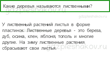 Учебник – Часть 1 (стр. 31) – Что такое хвоинки? – 1 - 0