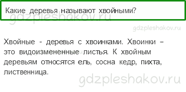 Учебник – Часть 1 (стр. 31) – Что такое хвоинки? – 3 - 0