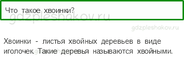 Учебник – Часть 1 (стр. 31) – Что такое хвоинки? – 2 - 0