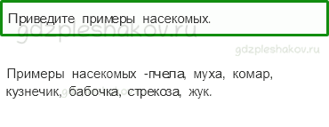 Учебник – Часть 1 (стр. 33) – Кто такие насекомые? – 3 - 0