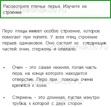 Учебник – Часть 1 (стр. 37) – Кто такие птицы? – Практическая работа - 0
