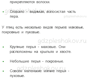 Учебник – Часть 1 (стр. 37) – Кто такие птицы? – Практическая работа - 1