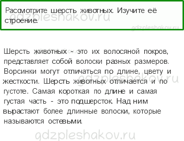 Учебник – Часть 1 (стр. 39) – Кто такие звери? – Практическая работа - 0