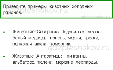 Учебник – Часть 2 (стр. 13) – Где живут белые медведи? – 3 - 0